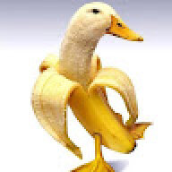Ducky705