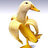 Ducky705