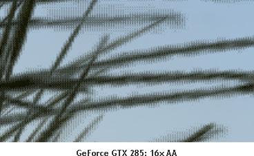 16xAA.jpg