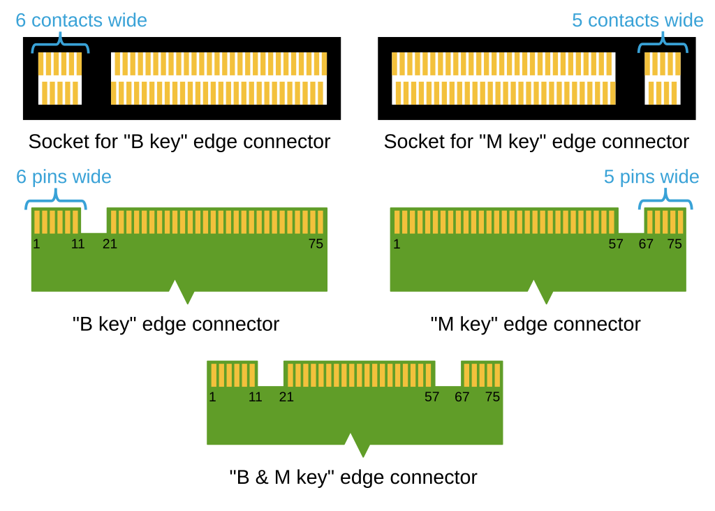 1024px-M2_Edge_Connector_Keying.svg.png