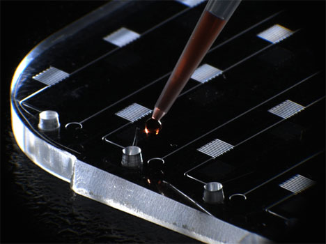 mchip-1.jpg
