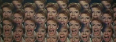 fly_screaming.jpg