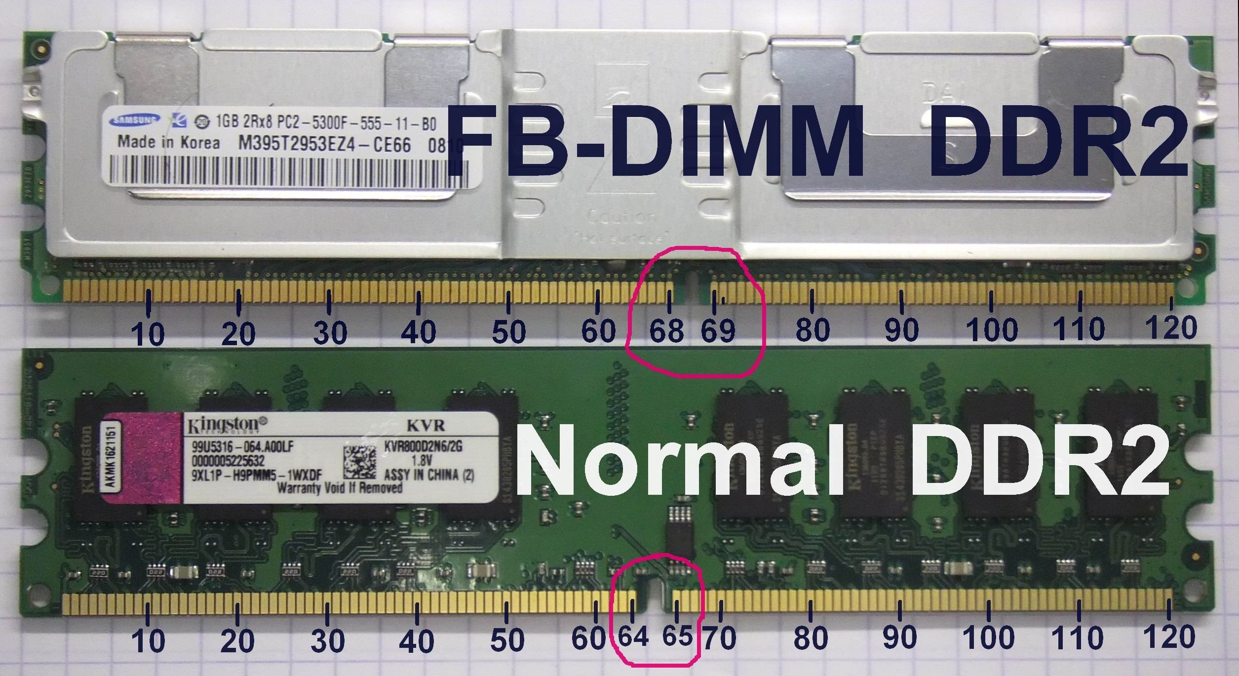 FB-DIMM_DDR2_vs._DDR2_photo_with_pin_count.jpg