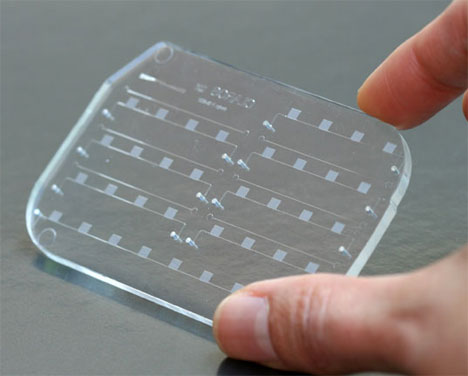 mchip-2.jpg