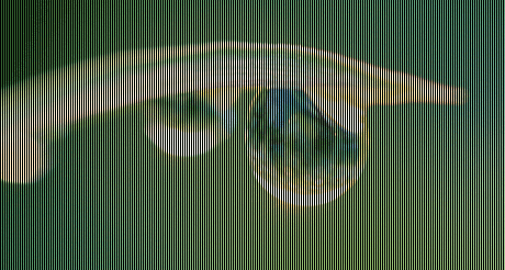 vertical.gif