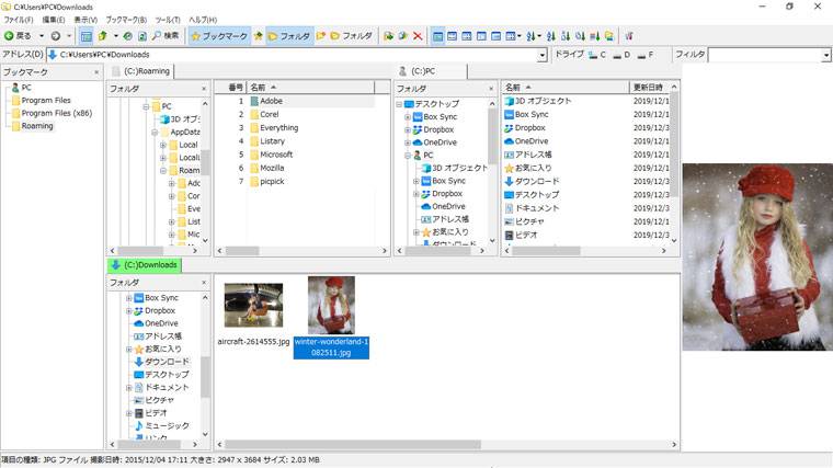 Hidemaru_Filer_Classic_01.jpg
