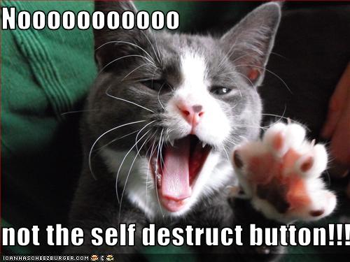 not-the-self-destruct-button-2hfnwfl.jpg