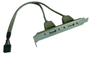 USB2-0-Af-2-Receptacle-on-Bracket-With-10-Pin-Housing-25cm-Cable.jpg