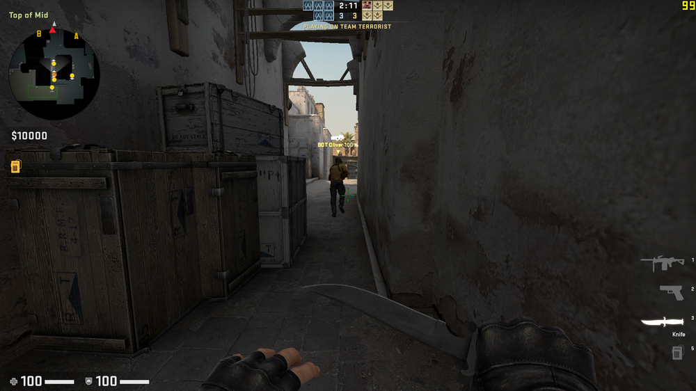 low_settings_cs_go.thumb.png.8216902362d0e92c704b52e02d11baa7.png